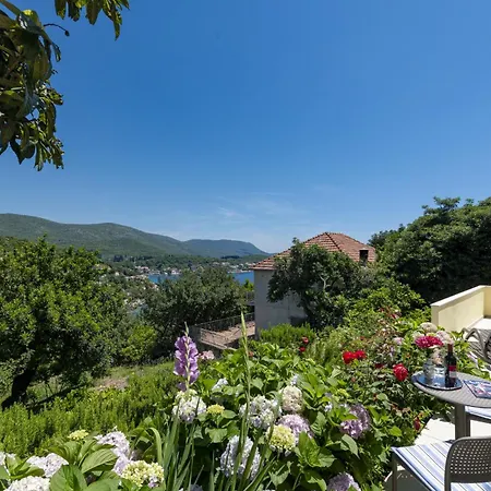 Guest house Rose Molunat