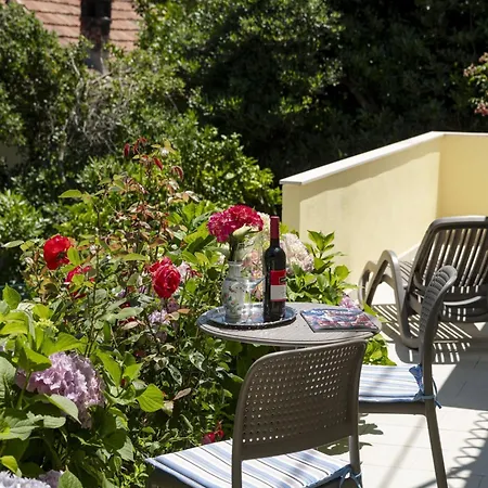 Rose Maison d'hôtes Molunat