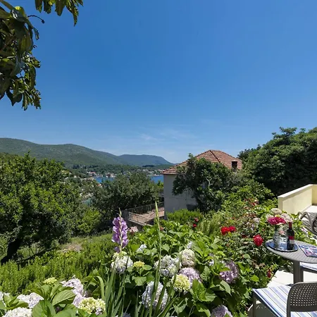 Rose Maison d'hôtes 2*