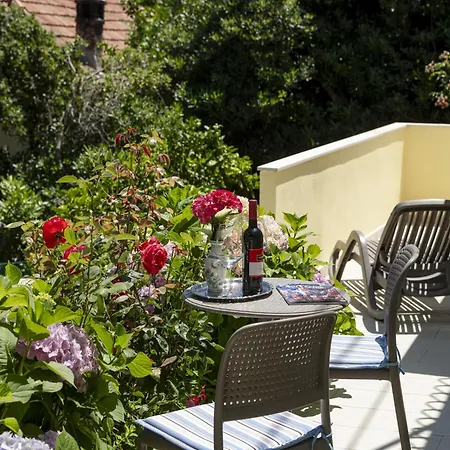 Rose Maison d'hôtes