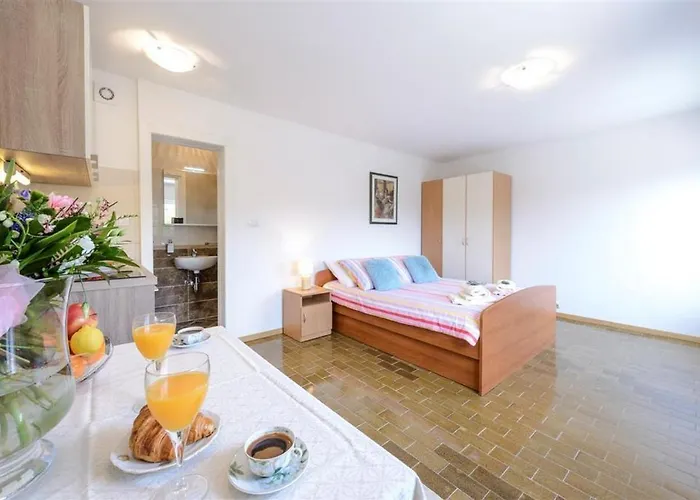 Rose Πανσιόν Molunat