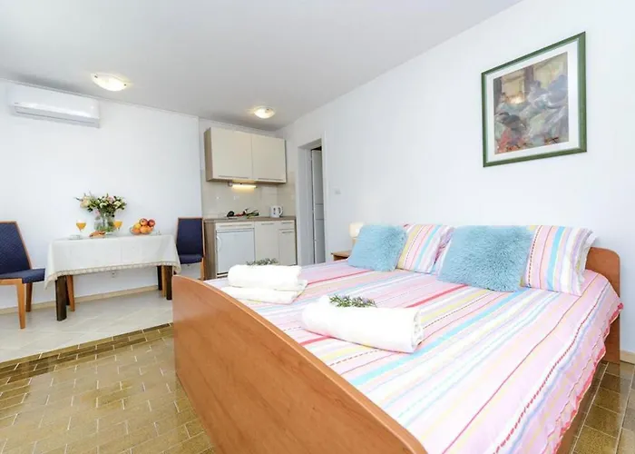 Πανσιόν Rose 2*